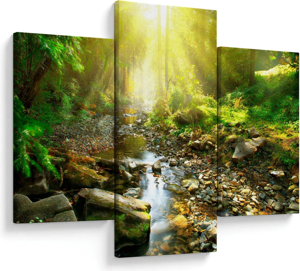 Obraz rieky v zelenom lese (90x60 cm)