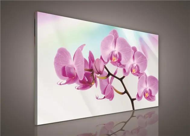 Obraz na stenu orchidea 100 x 75 cm