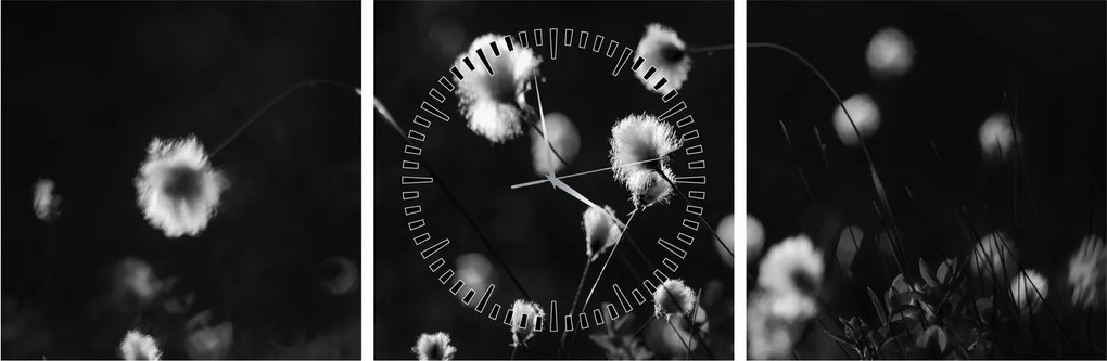 Obraz - Lúka s cottongrass N⁰1 (s hodinami) (90x30 cm)