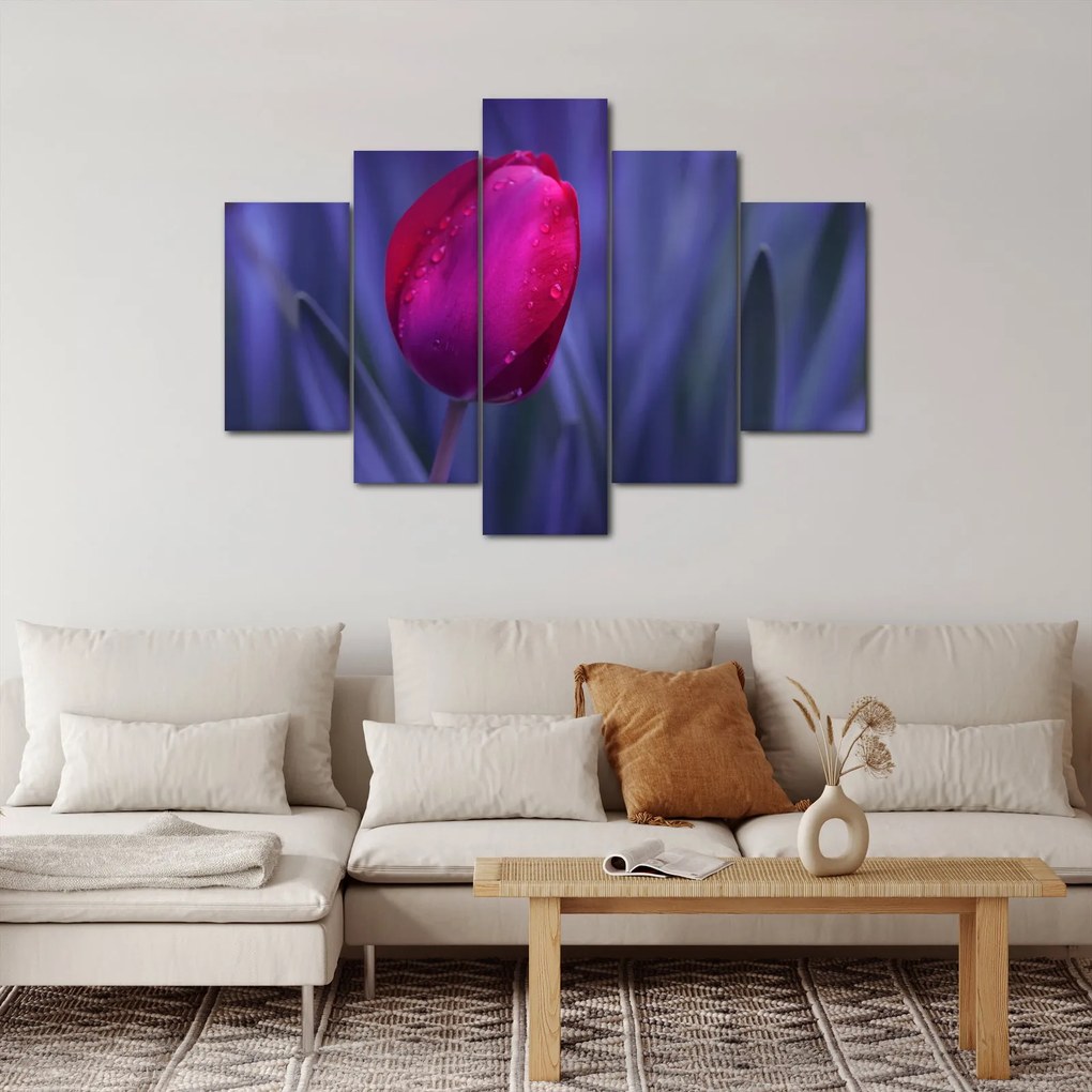 Obraz pupete tulipánu (150x105 cm)