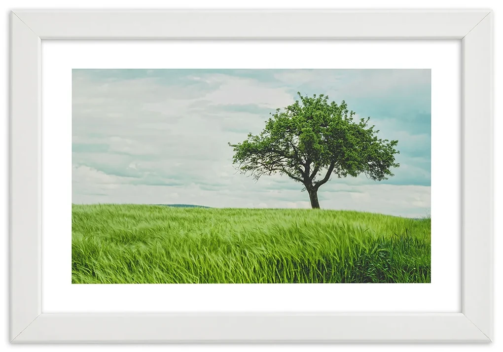 Gario Plagát Strom v poli Farba rámu: Bez rámu, Rozmery: 60 x 40 cm