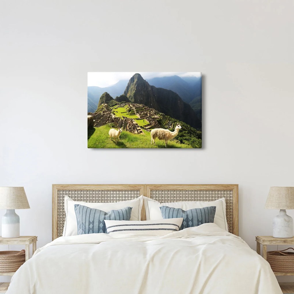 Obraz - Machu Picchu (90x60 cm)