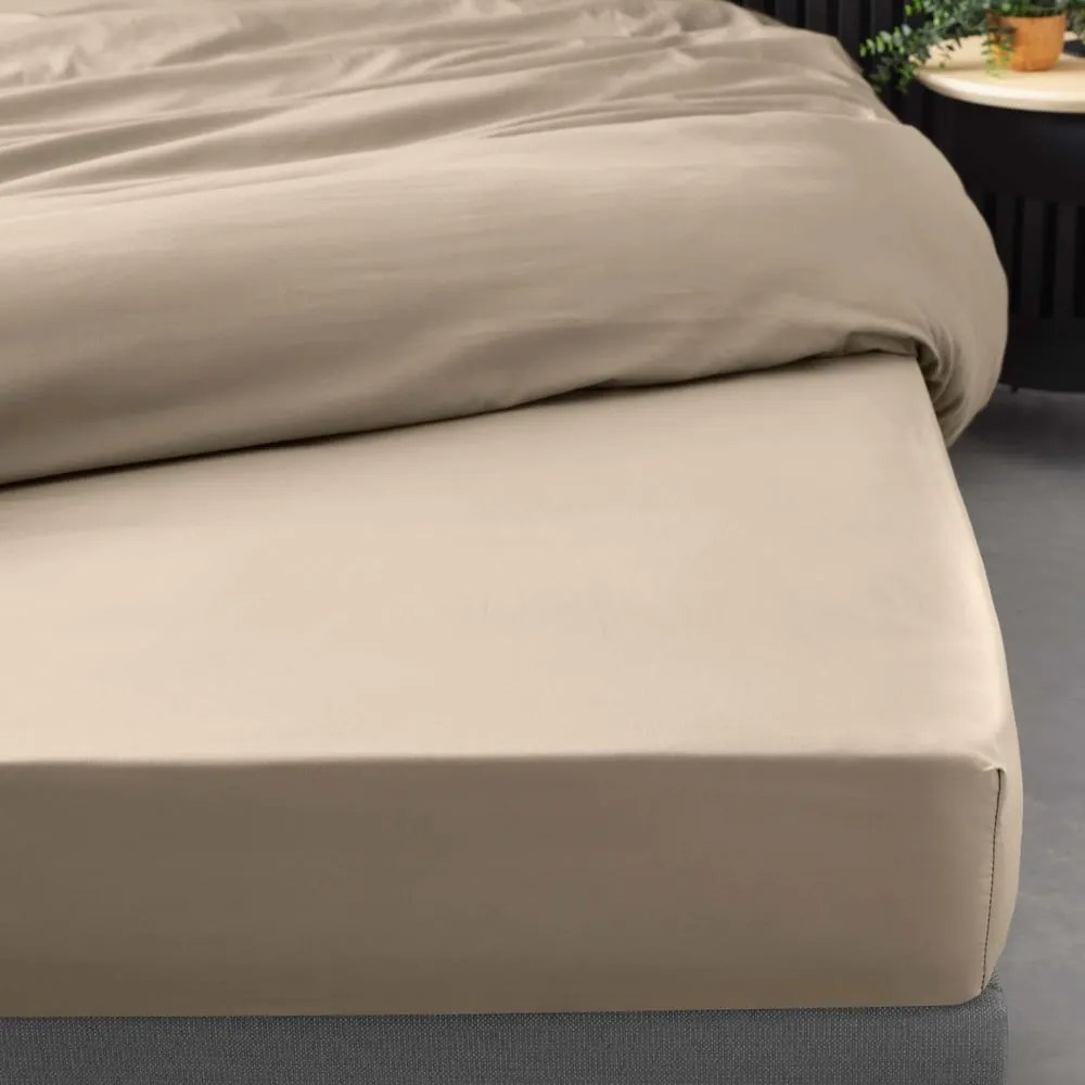 Svetlohnedá napínacia plachta z bavlneného perkálu 140x190 cm Percaline – douceur d'intérieur