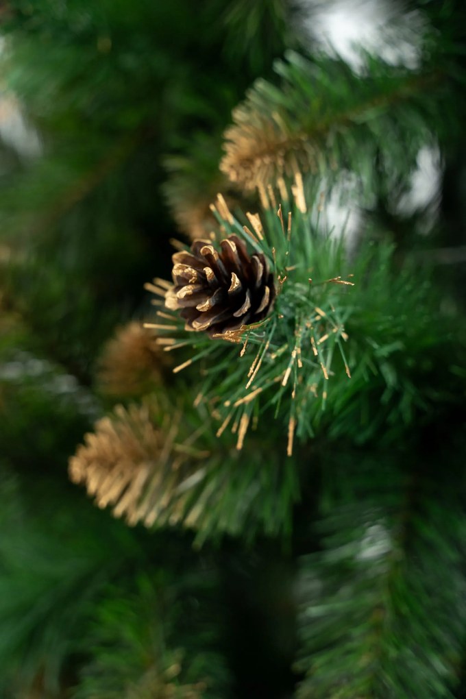 Limpol Borovica Verona zlatá 120 cm