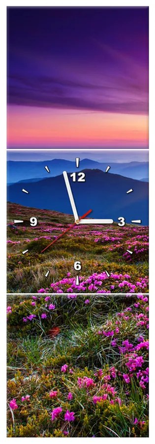 Gario Obraz s hodinami Horská lúka - 3 dielny Rozmery: 90 x 30 cm