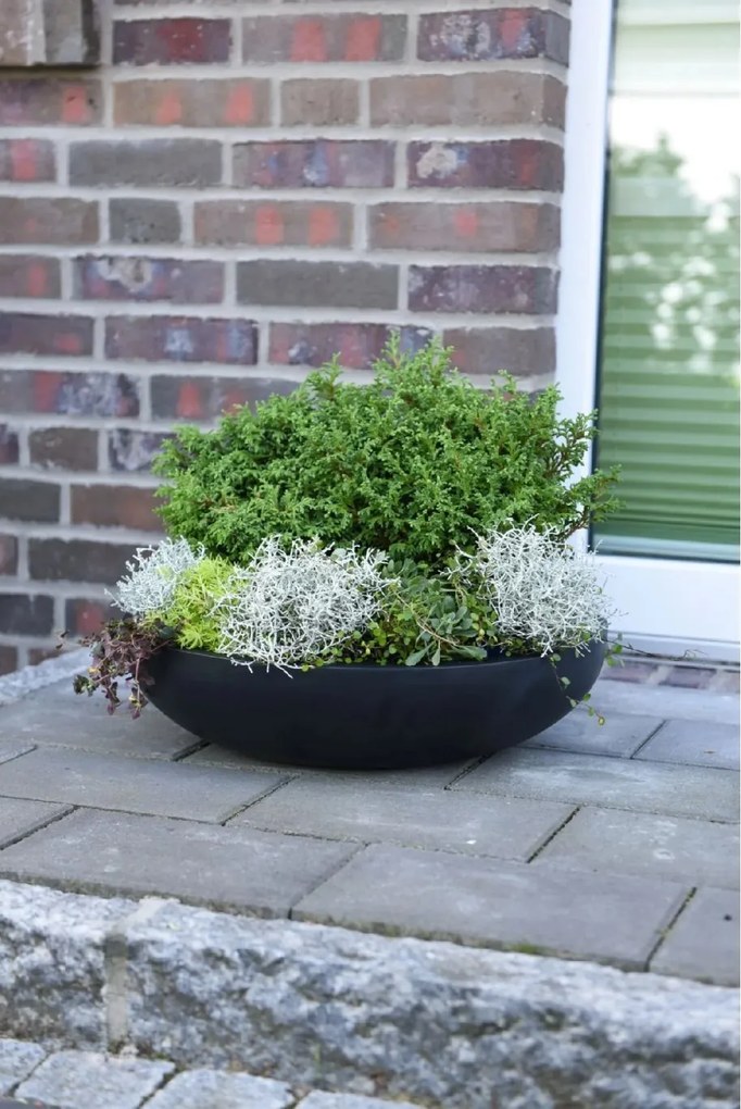 Okrasná miska PLANA, sklolaminát, 14xØ54 cm, antracit