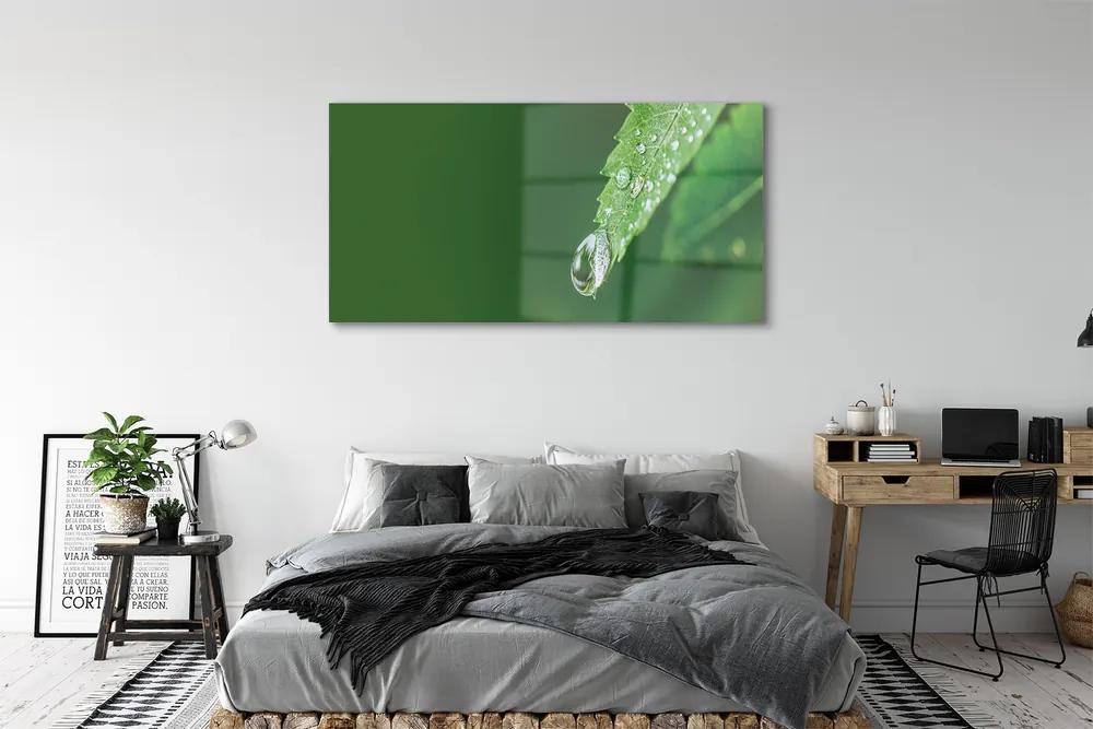 Obraz plexi Kvapka vody lístia 140x70 cm