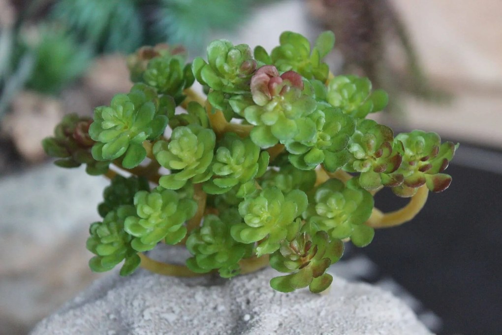 Zelený umelý sukulent 14cm