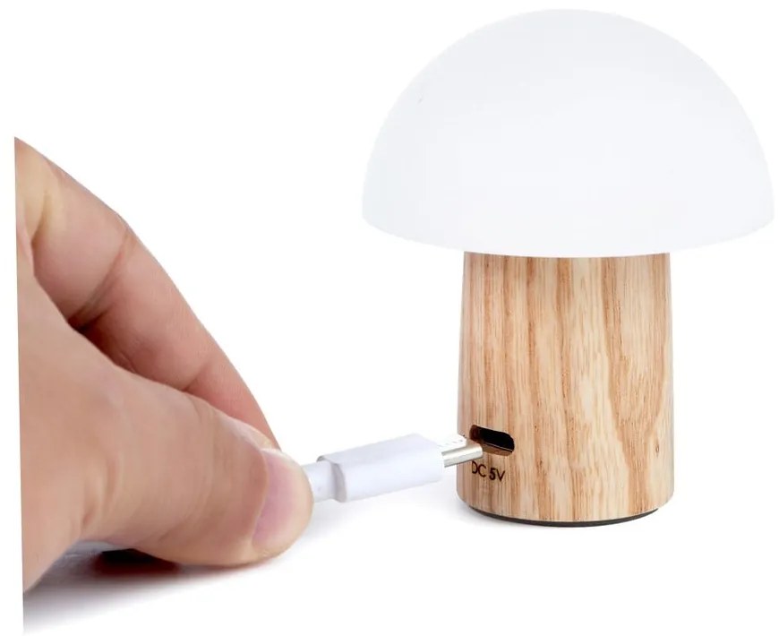 LED stolová lampa z jaseňového dreva so stmievačom v prírodnej farbe (výška 7 cm) Alice – Gingko