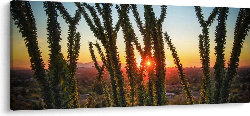 Obraz - Rastliny (120x50 cm)