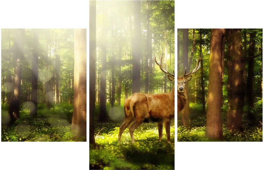 Obraz jeleňa v lese (90x60 cm)