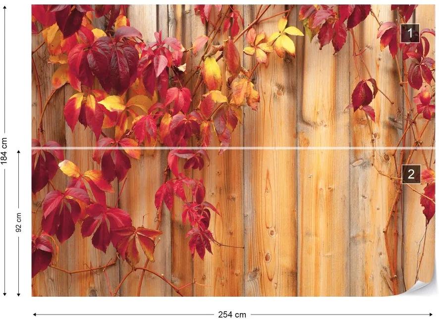 Fototapeta GLIX - Wood Fence Flowers + lepidlo ZADARMO Vliesová tapeta  - 254x184 cm
