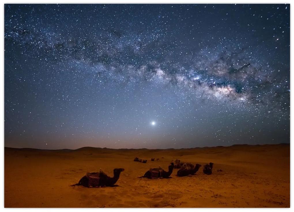 Obraz - Noc v púšti (70x50 cm)