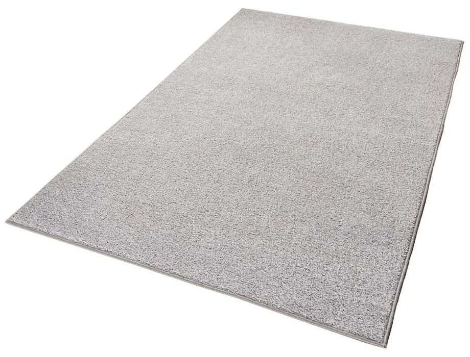 Svetlosivý koberec Hanse Home Pure, 160 x 240 cm