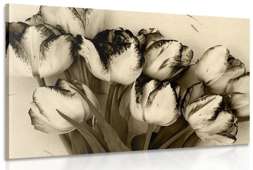 Obraz jarné tulipány v sépiovom prevedení