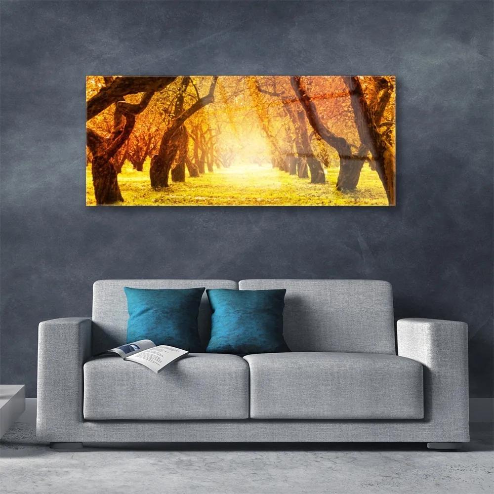 Obraz plexi Les chodník stromy príroda 125x50 cm