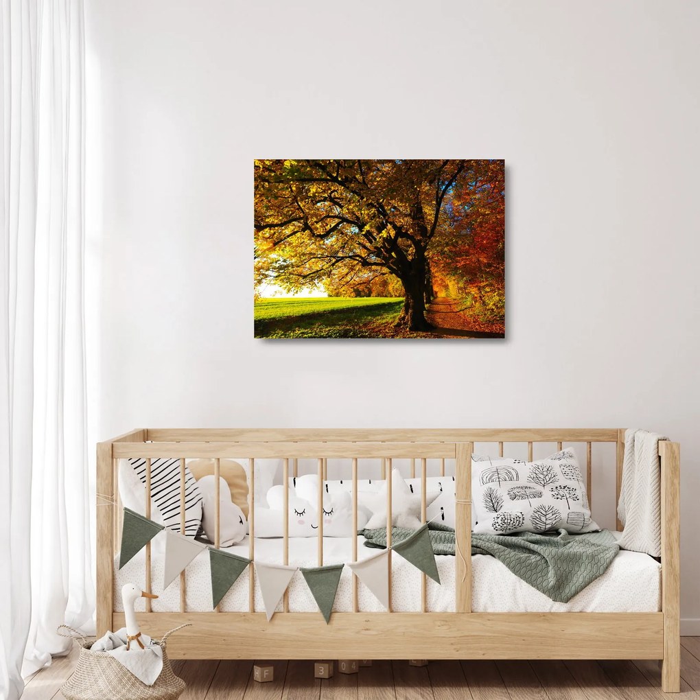 Sklenený obraz jesene (70x50 cm)