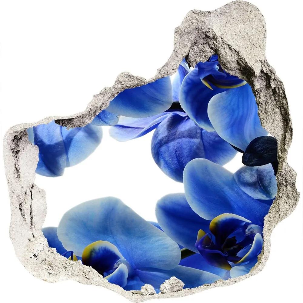 Fototapeta nálepka na stenu Modrá orchidea WallHole-75x75-piask-108719239