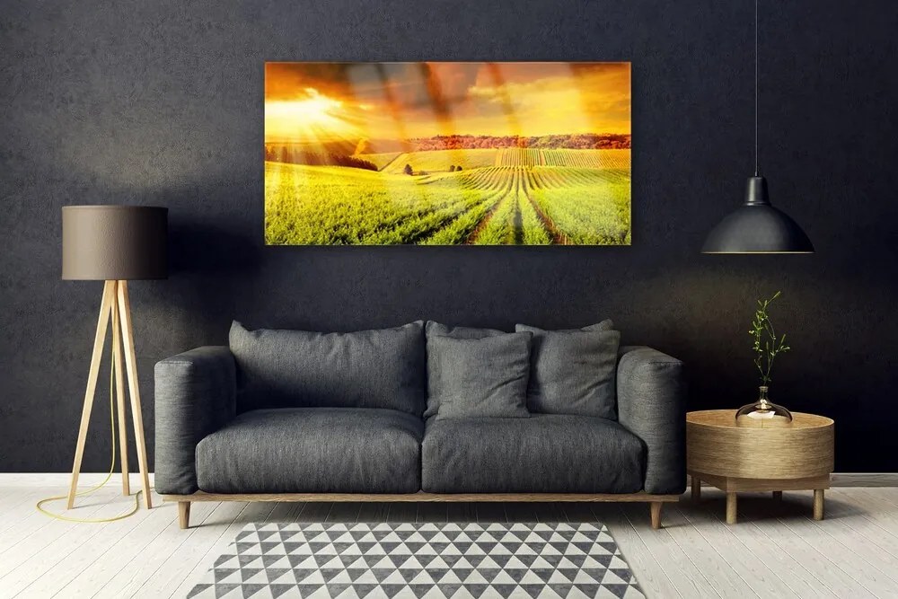 Obraz na akrylátovom skle Pole západ slnka krajina 120x60 cm