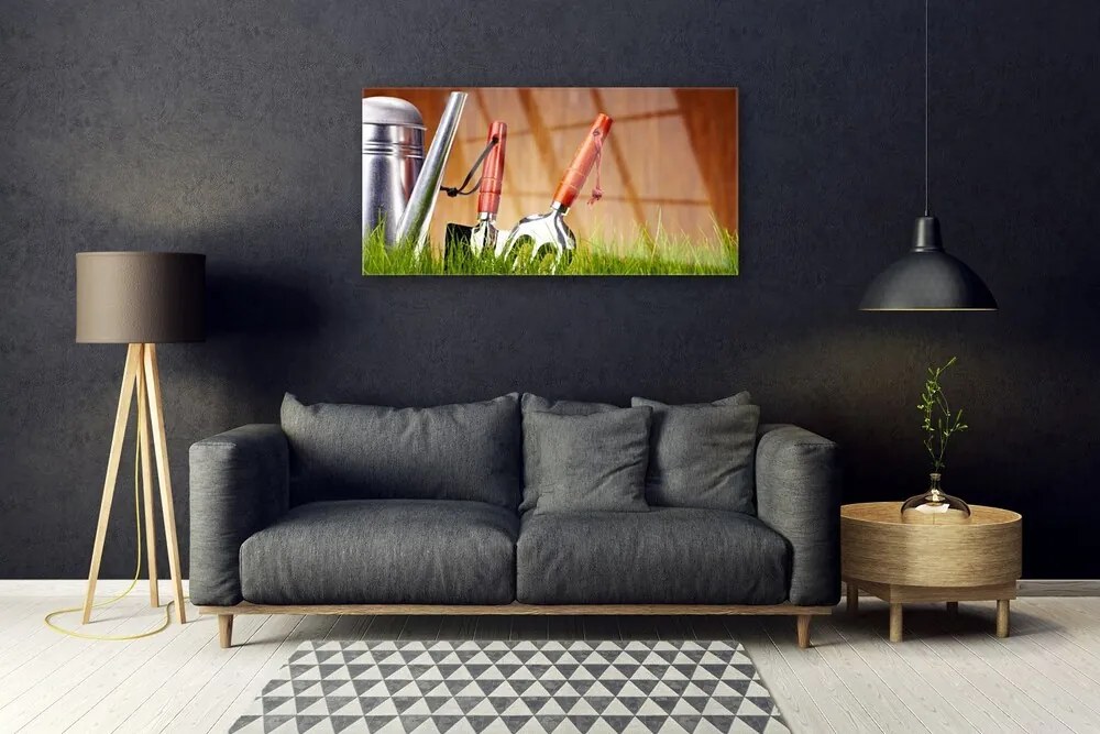 Obraz plexi Tráva náradie umenie 100x50 cm