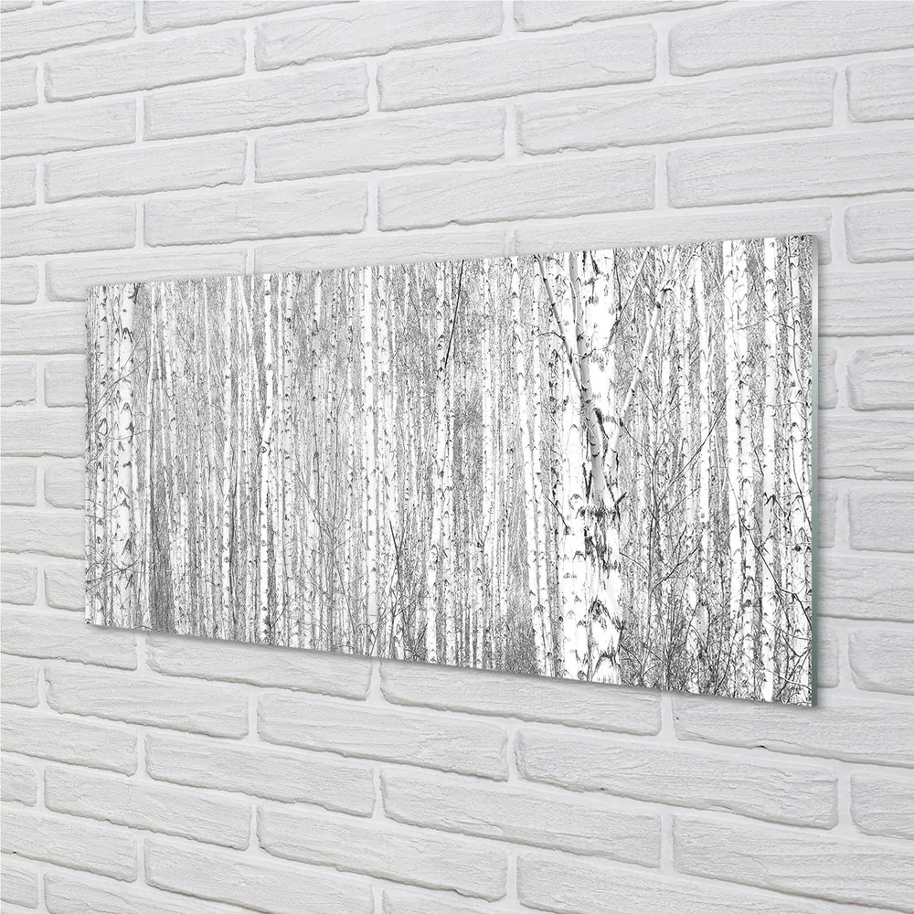 Obraz plexi Čierna a biela strom les 125x50 cm
