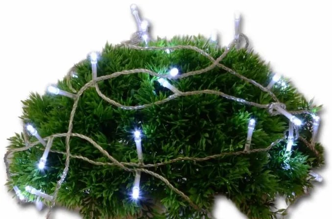 Nexos 2141 Vianočné LED osvetlenie - 5 m, 50 LED, studeno biele