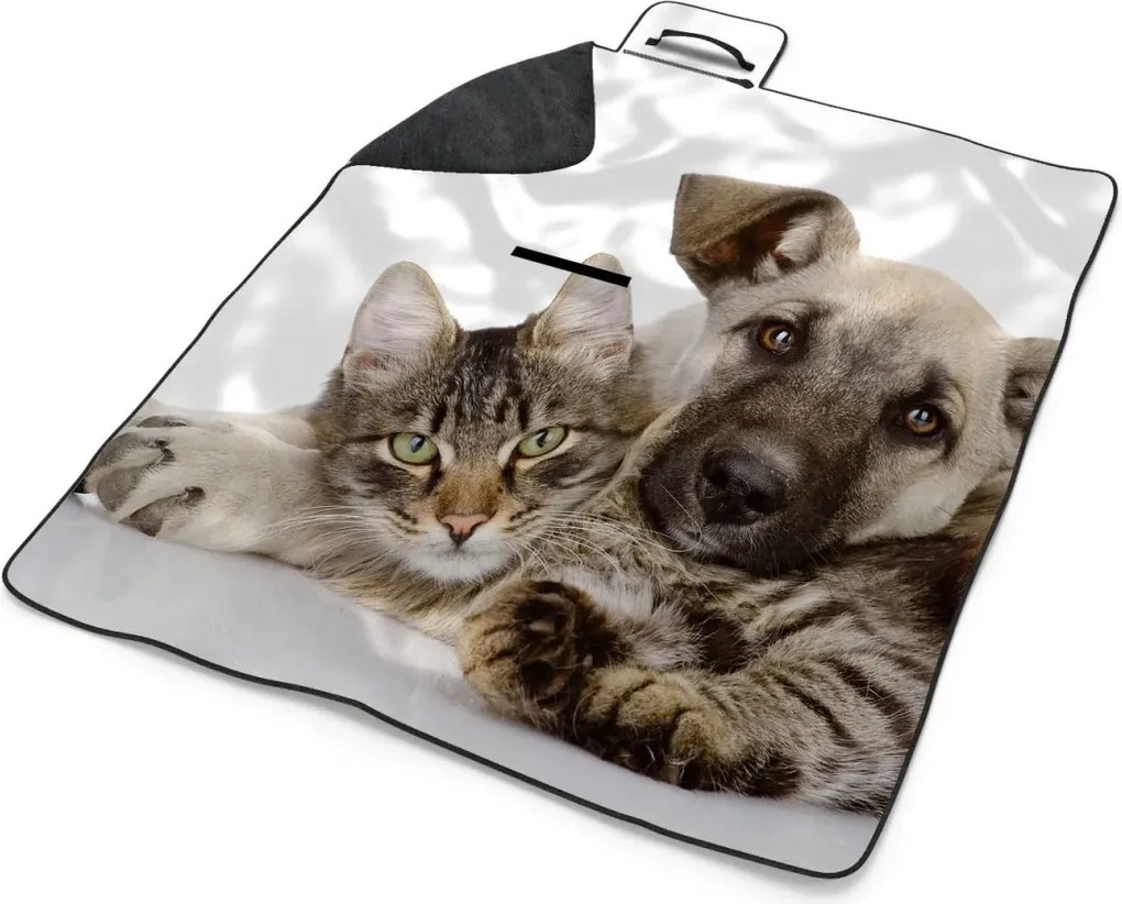 Sablio Plážová deka Mačiatko a šteniatko: 200x140 cm