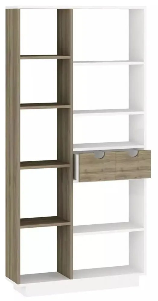 Biela walnut drevená knižnica Luma HANAH HOME
