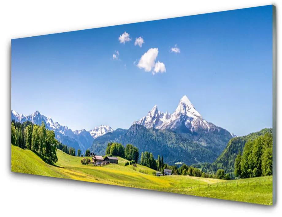 Obraz na skle Pole stromy hory príroda 100x50 cm
