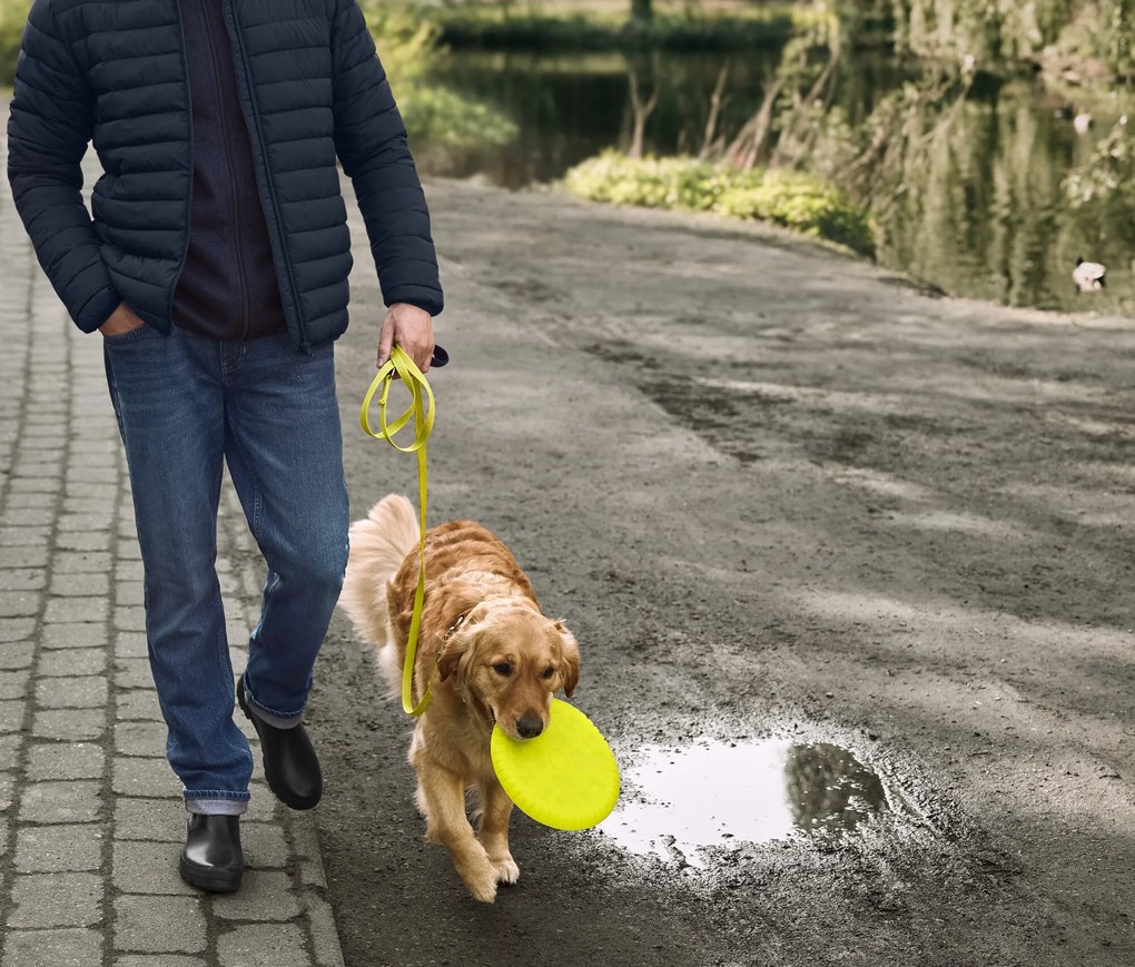 Lietajúci tanier pre psy