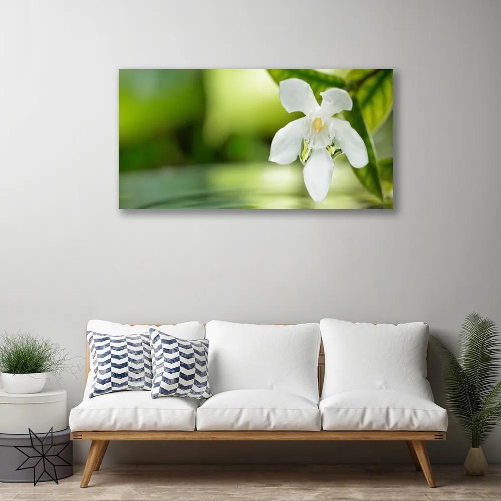 Obraz na plátne Kvet listy 100x50 cm