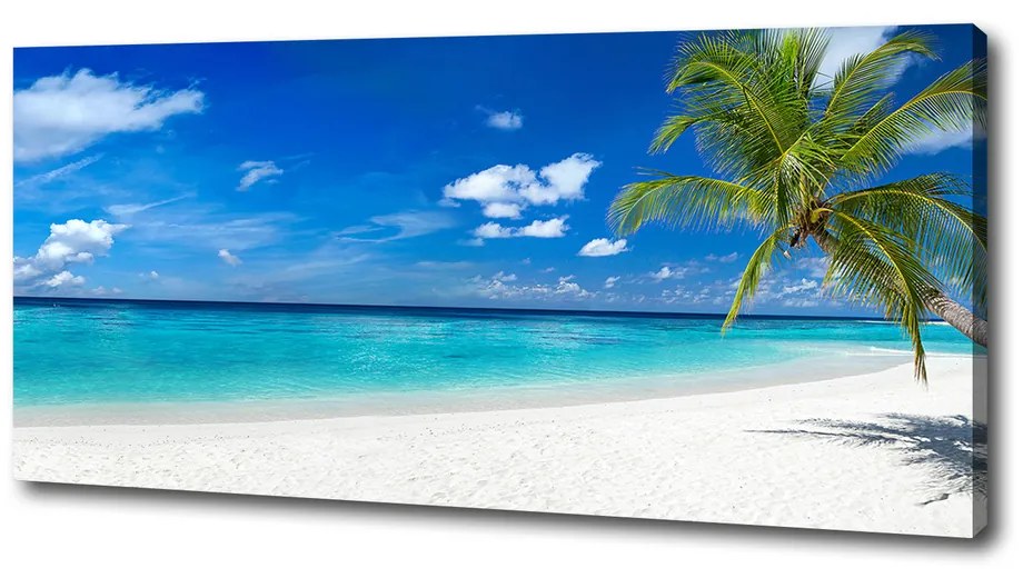 Foto obraz na plátne Tropická pláž pl-oc-125x50-f-158283371