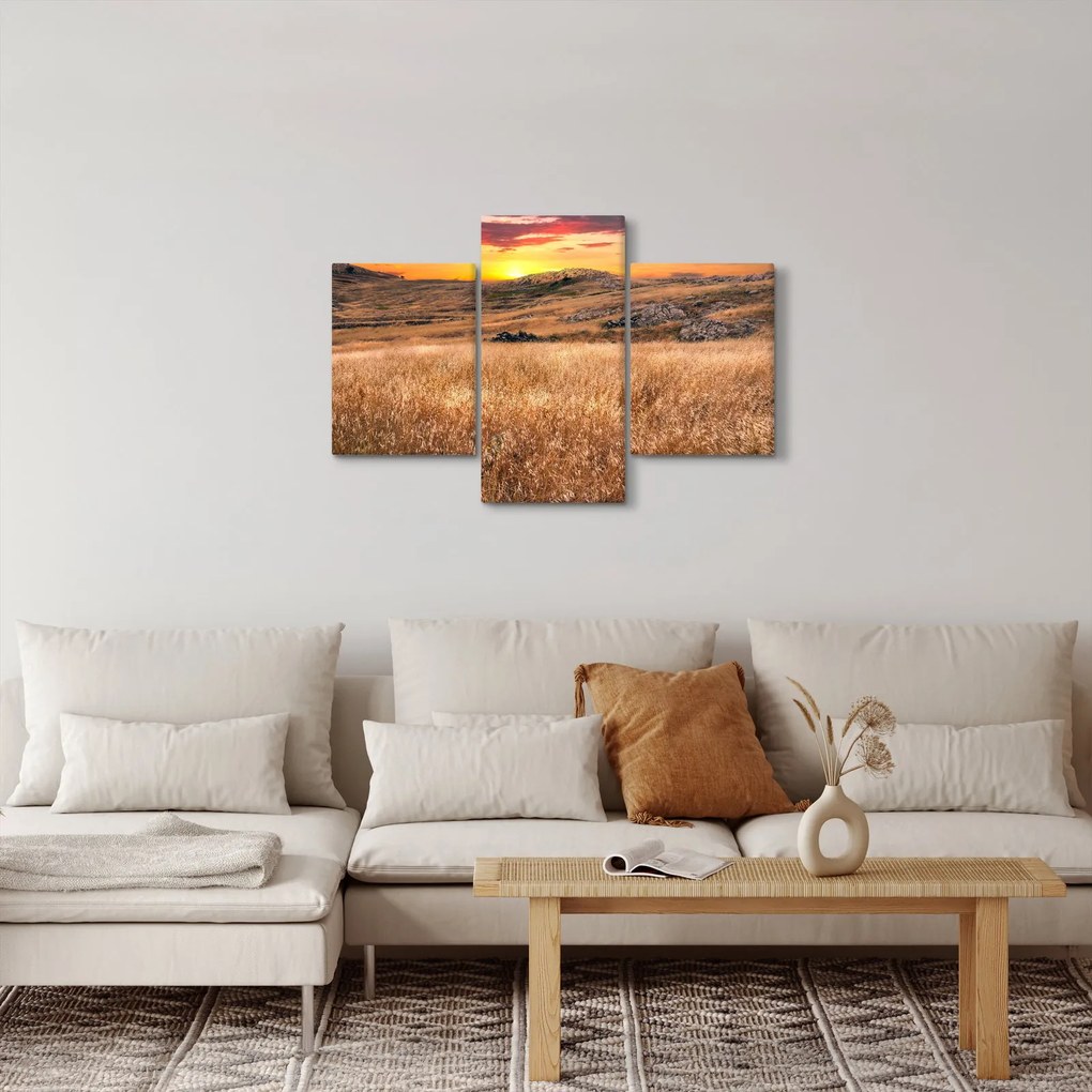 Obraz pole (90x60 cm)