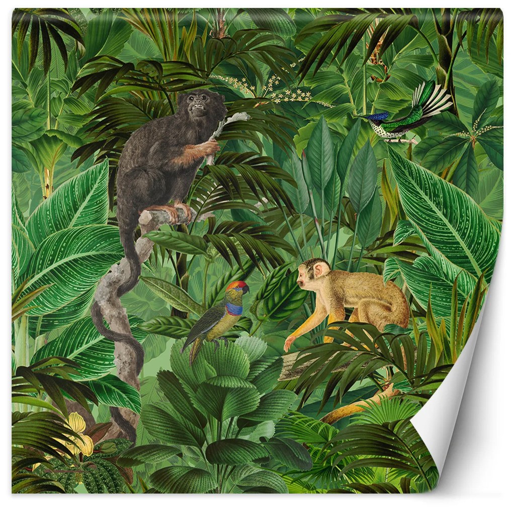 Gario Fototapeta Zvieratá na pozadí zelených listov - Andrea Haase Materiál: Vliesová, Rozmery: 100 x 100 cm