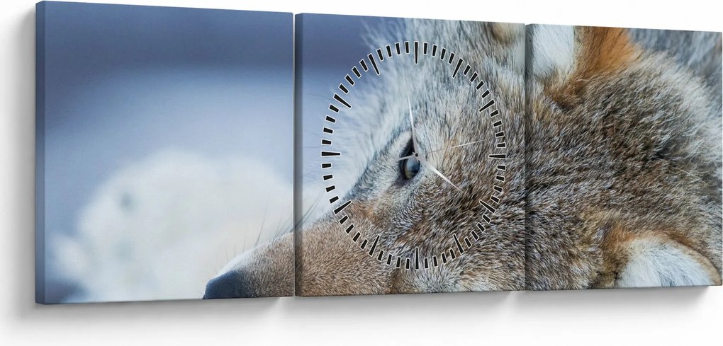 Obraz - Vlk (s hodinami) (90x30 cm)