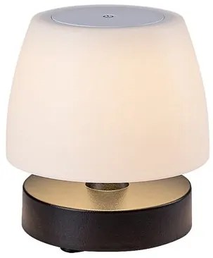 Rabalux ODERA LED stolná lampa 7040