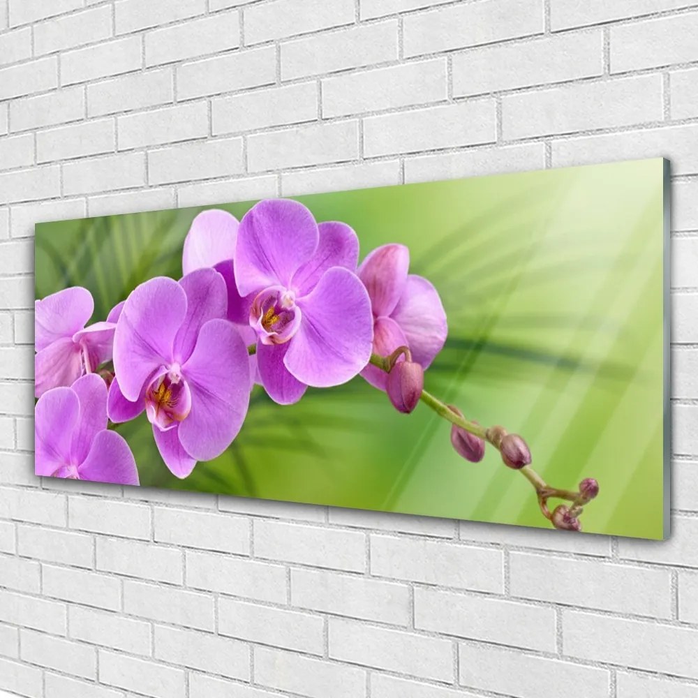 Obraz plexi Vstavač orchidea kvety 125x50 cm