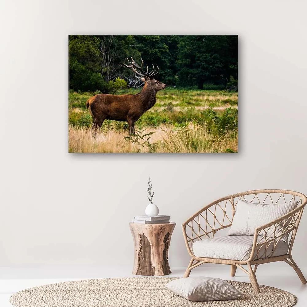 Obraz na plátně Jelen v lese Příroda - 100x70 cm