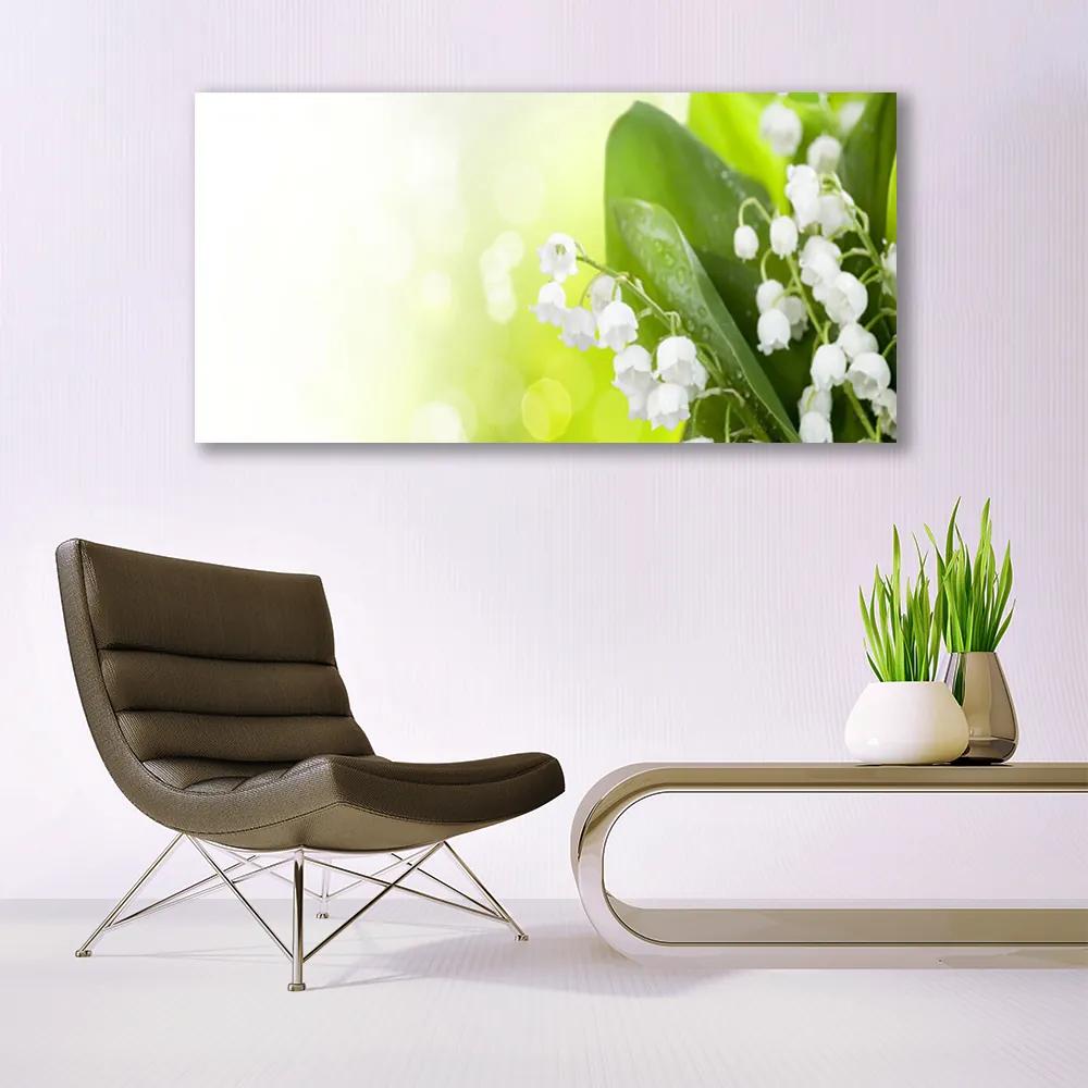 Obraz plexi Konvalinky listy kvety lúka 120x60 cm
