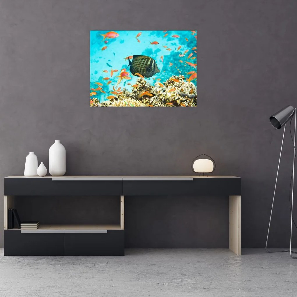 Sklenený obraz podmorského sveta (70x50 cm)