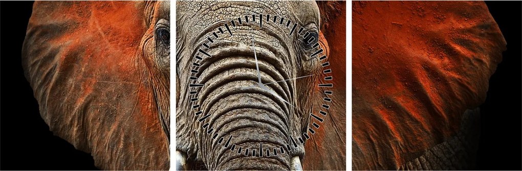 Obraz - Slony z Tsavo (s hodinami) (90x30 cm)