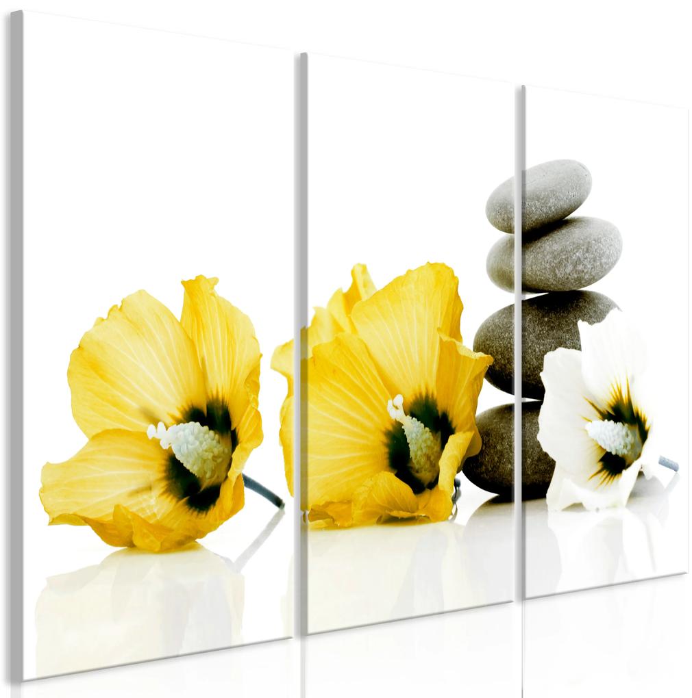Artgeist Obraz - Calm Mallow (3 Parts) Yellow Veľkosť: 120x80, Verzia: Premium Print