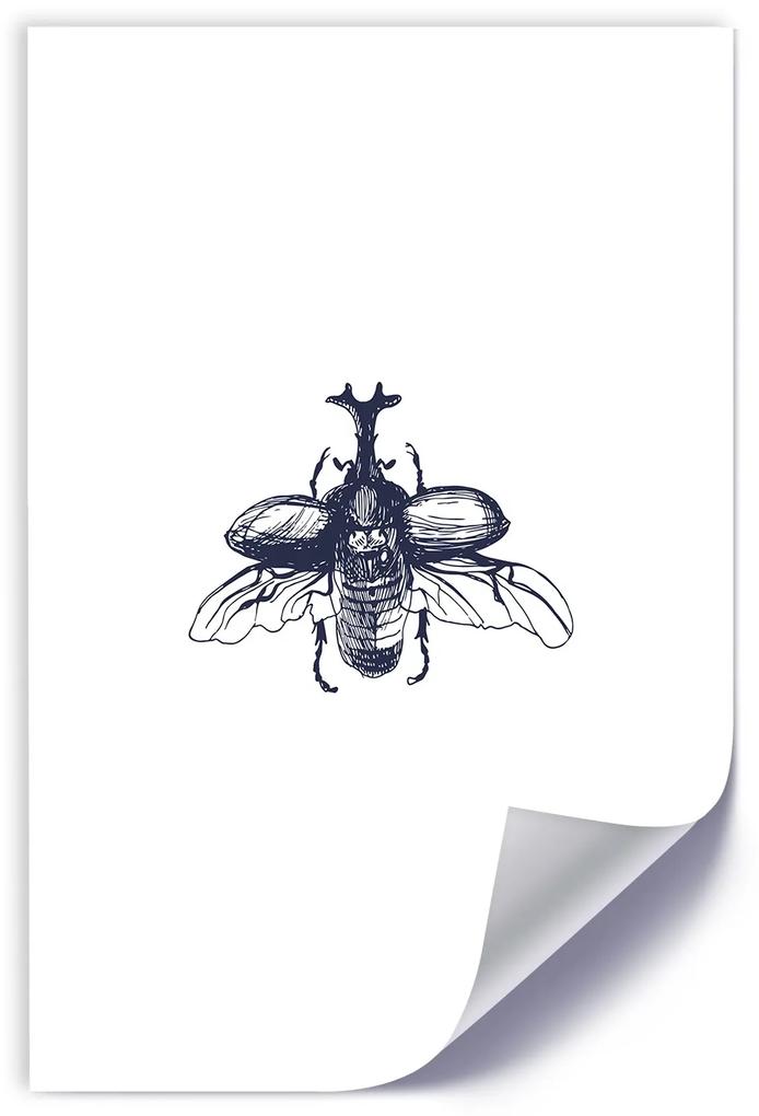 Gario Plagát Lietajúci chrobák Farba rámu: Bez rámu, Rozmery: 40 x 60 cm