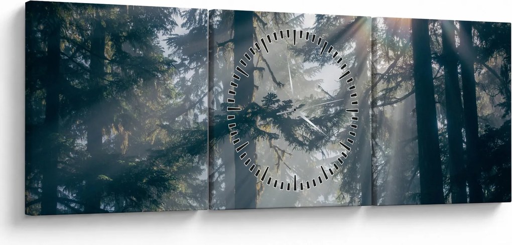 Obraz stromov s presvitajúcim slnkom (s hodinami) (90x30 cm)