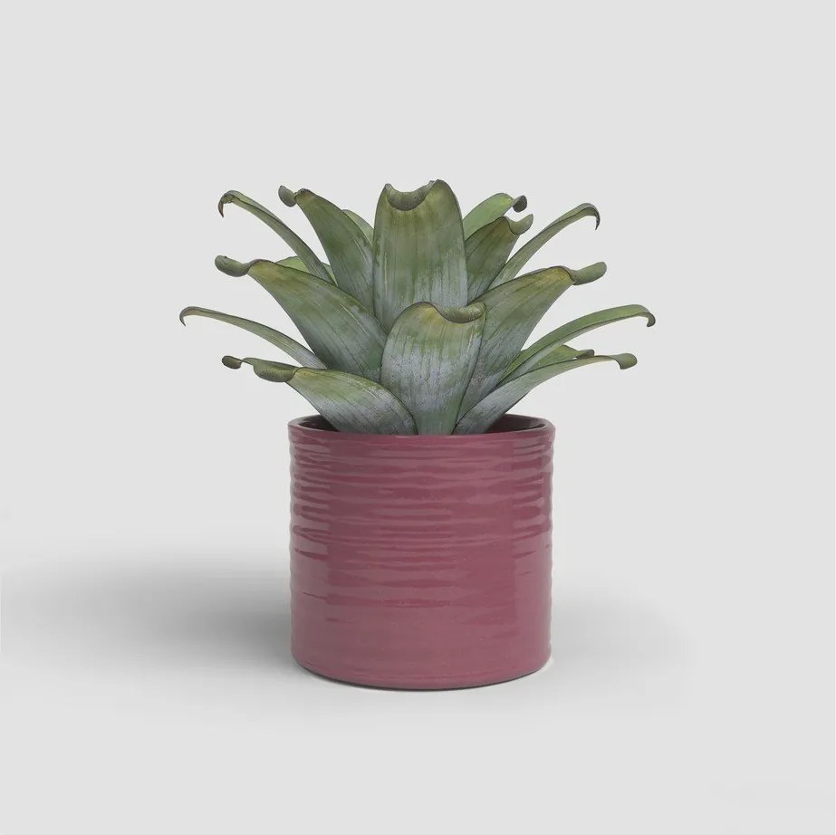 Keramický ručne vyrobený obal na kvetináč ø 25 cm Fortuna – Artevasi