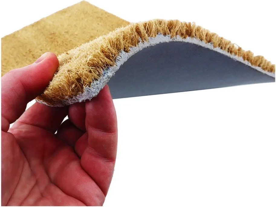 Rohožka z kokosového vlákna 40x60 cm Welcome Sausage Dog – Artsy Doormats