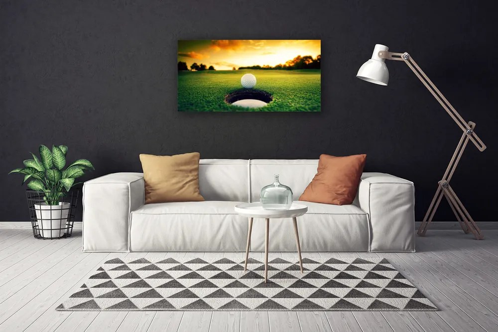 Obraz na plátne Golfový loptička tráva príroda 120x60 cm