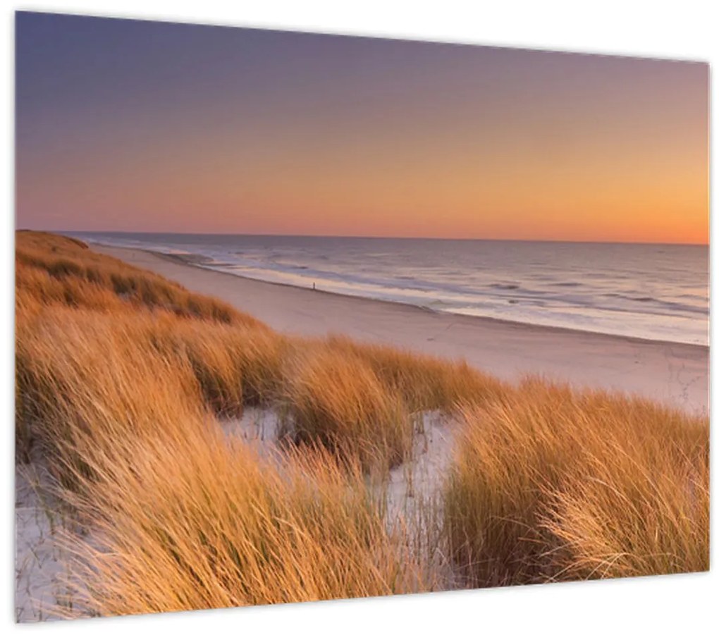 Obraz - Pláž pri západe slnka (70x50 cm)