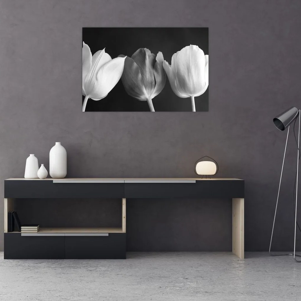 Obraz - Čiernobiele kvety tulipánov (90x60 cm)