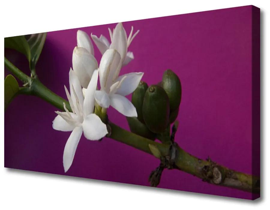 Obraz Canvas Kvety úhonky príroda 100x50cm